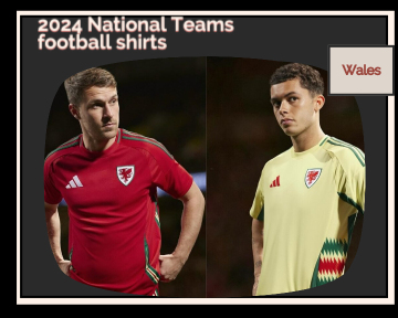 fake Wales football shirts 23-24